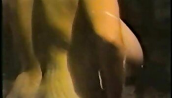 Damon porno cougar et la fourrière
